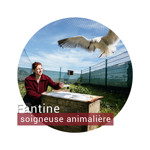 Fantine, soigneuse animalire