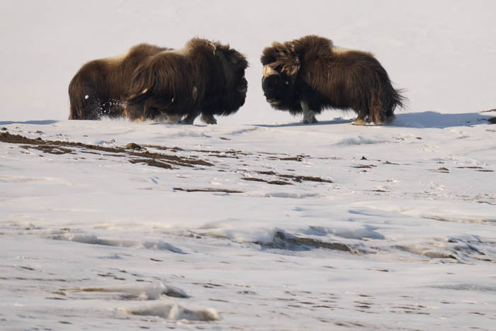 photo 010